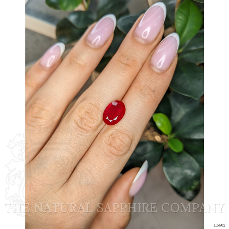 5.64 Ct. Ruby from Mozambique