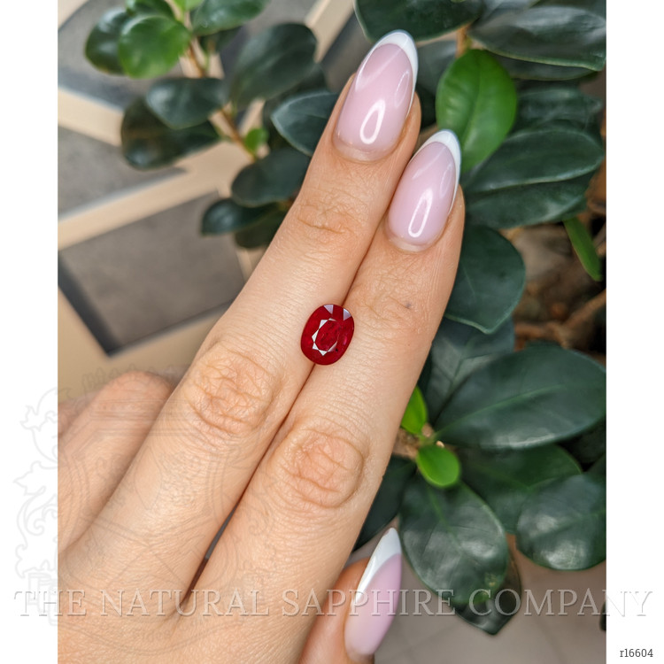 2.81 Ct. Ruby from Mozambique