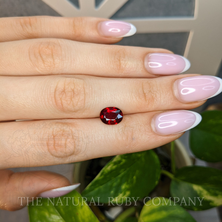 3.02 Ct. Ruby from Mozambique