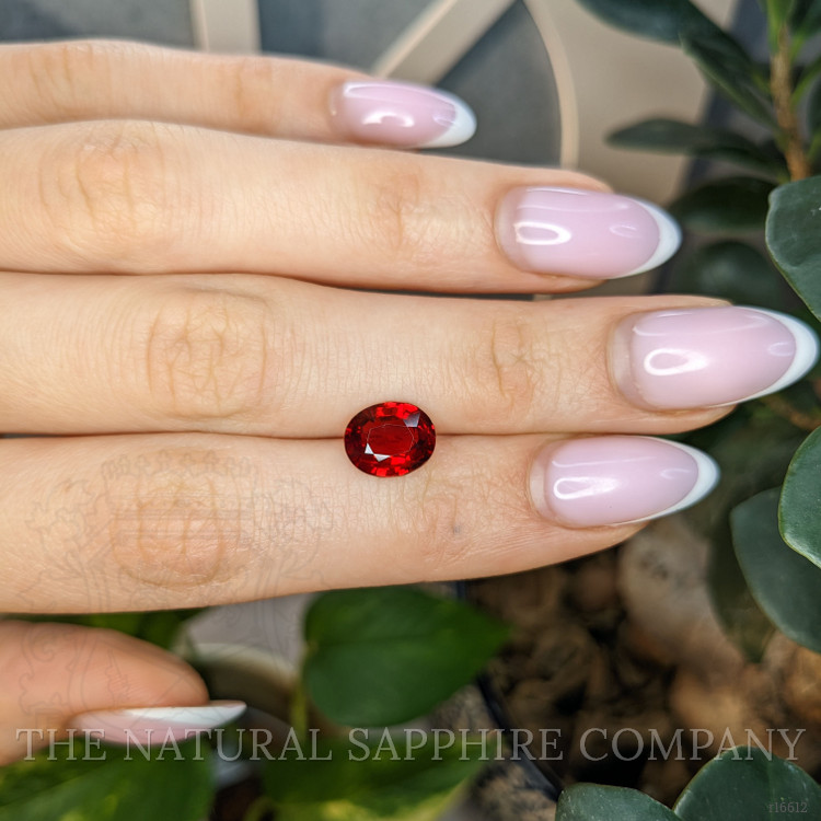 3.16 Ct. Ruby from Mozambique