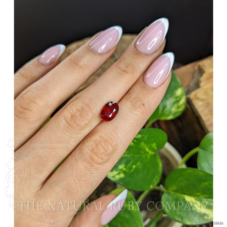 3.04 Ct. Ruby from Mozambique