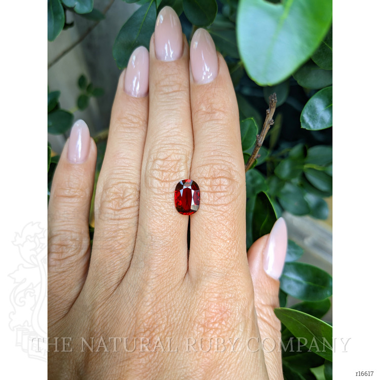 3.03 Ct. Ruby from Mozambique