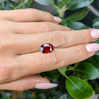 3.03 Ct. Ruby from Mozambique Life Style