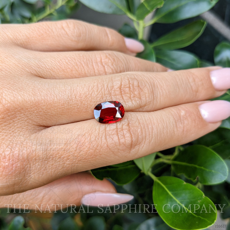 3.03 Ct. Ruby from Mozambique