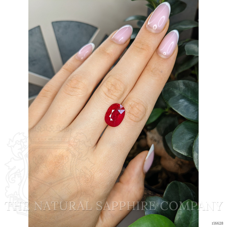 6.67 Ct. Ruby from Mozambique