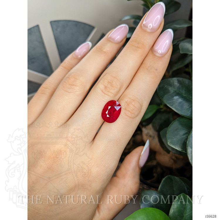 6.67 Ct. Ruby from Mozambique