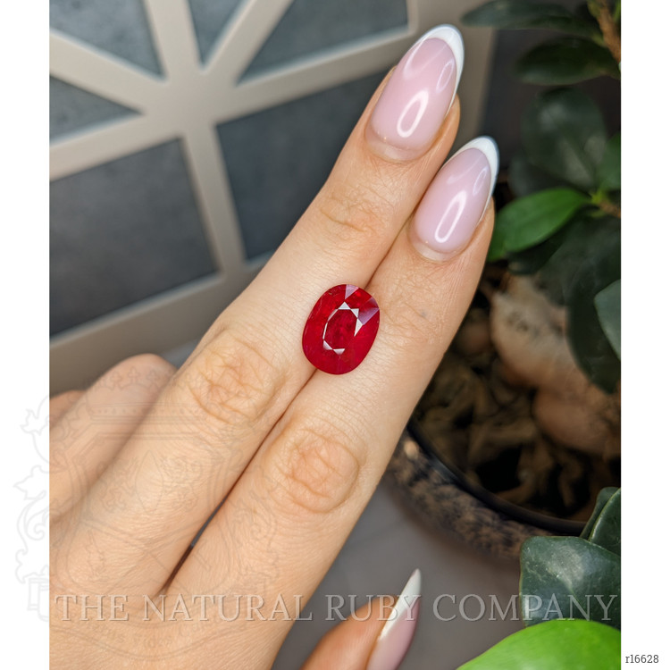 6.67 Ct. Ruby from Mozambique