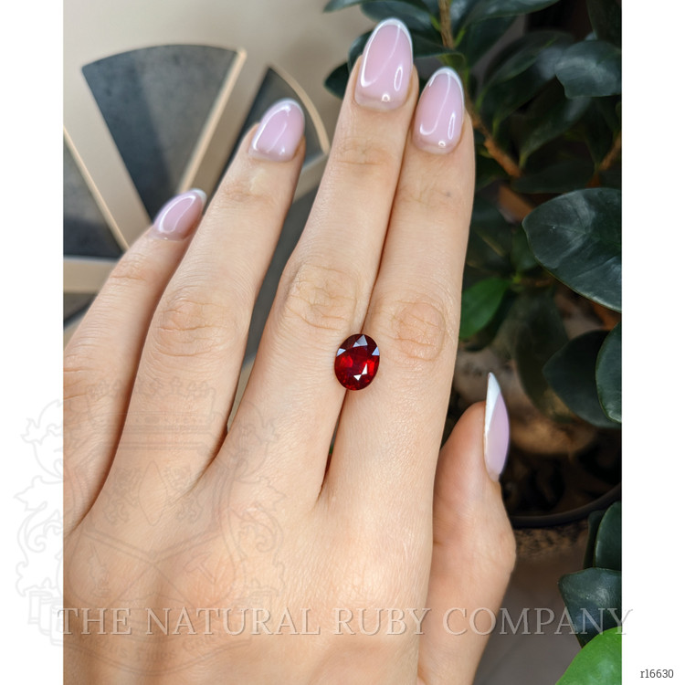 3.41 Ct. Ruby from Mozambique
