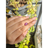 4.64 Ct. Purplish Red Star Ruby from Mozambique Life Style