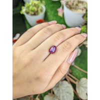 4.64 Ct. Purplish Red Star Ruby from Mozambique Life Style