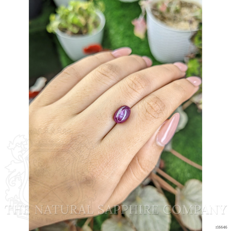 4.64 Ct. Purplish Red Star Ruby from Mozambique