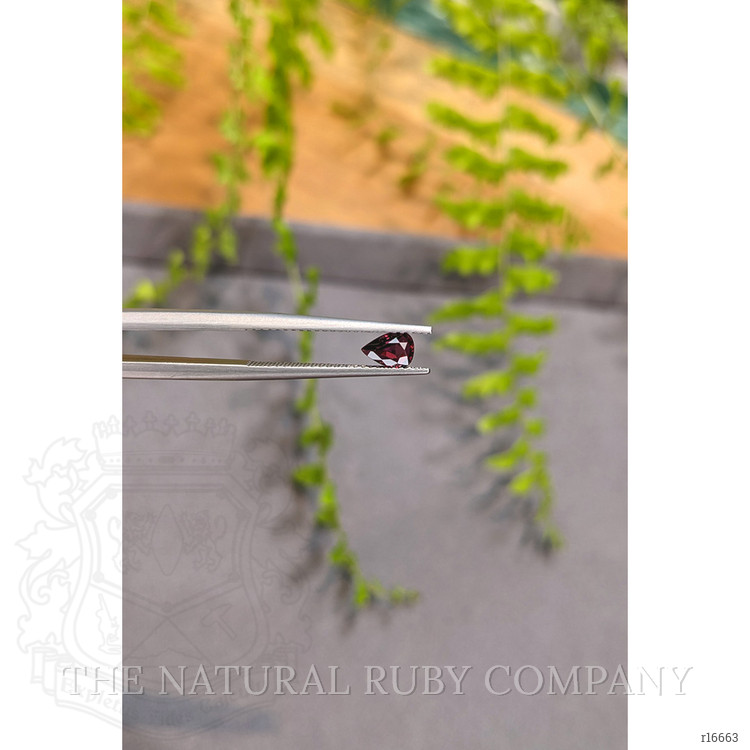 0.54 Ct. Purplish Red Ruby from Mozambique