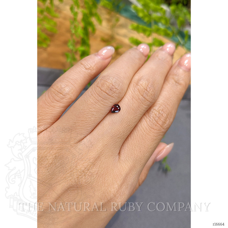 0.44 Ct. Ruby from Mozambique