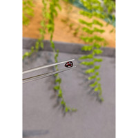 0.44 Ct. Ruby from Mozambique Life Style