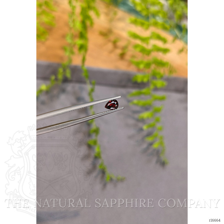 0.44 Ct. Ruby from Mozambique