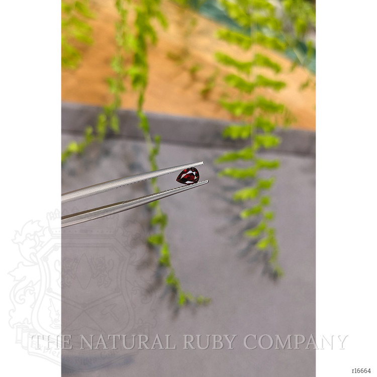 0.44 Ct. Ruby from Mozambique