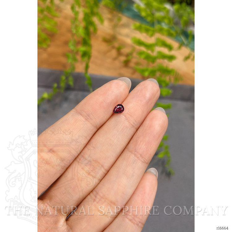 0.44 Ct. Ruby from Mozambique