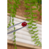 3.03 Ct. Purplish Red Ruby from Mozambique Life Style