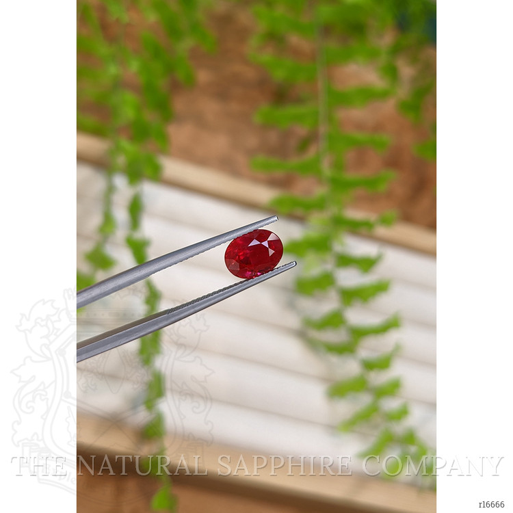 3.03 Ct. Purplish Red Ruby from Mozambique
