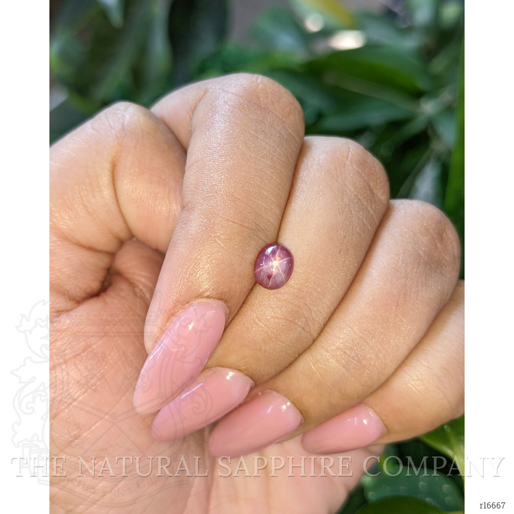 1.24 Ct. Purplish Red Star Ruby from Ceylon (Sri Lanka)