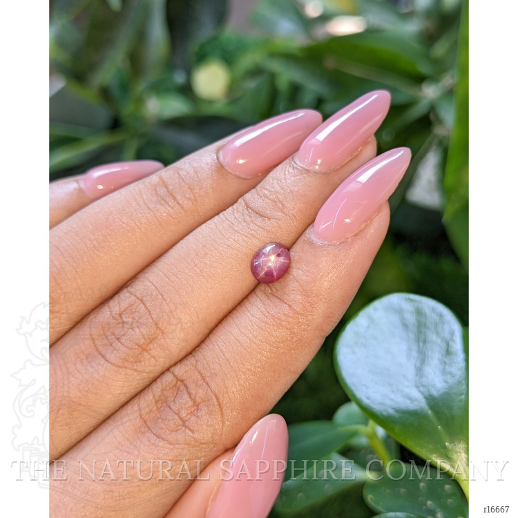 1.24 Ct. Purplish Red Star Ruby from Ceylon (Sri Lanka)