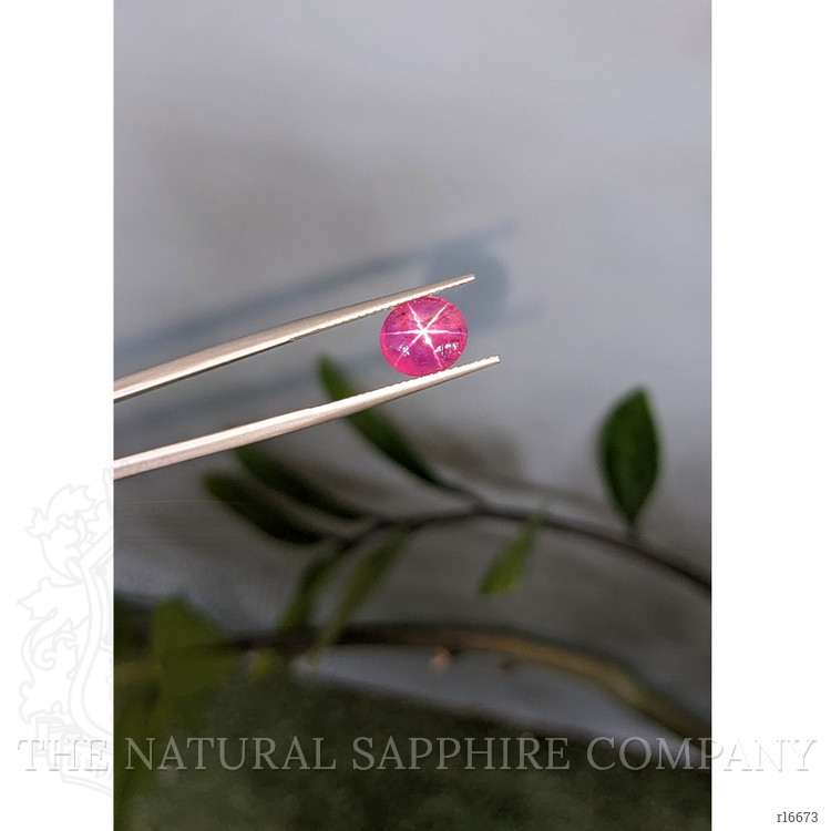 3.32 Ct. Purplish Red Star Ruby from Mozambique