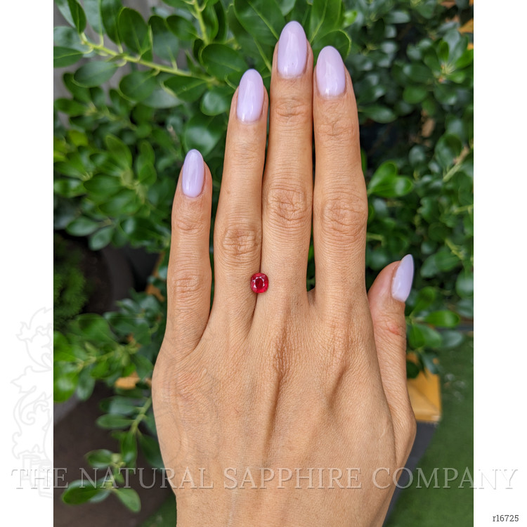 1.15 Ct. Ruby from Burma (Myanmar)