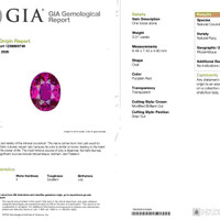 3.01 Ct. Purplish Red Ruby from Mozambique Scan Report