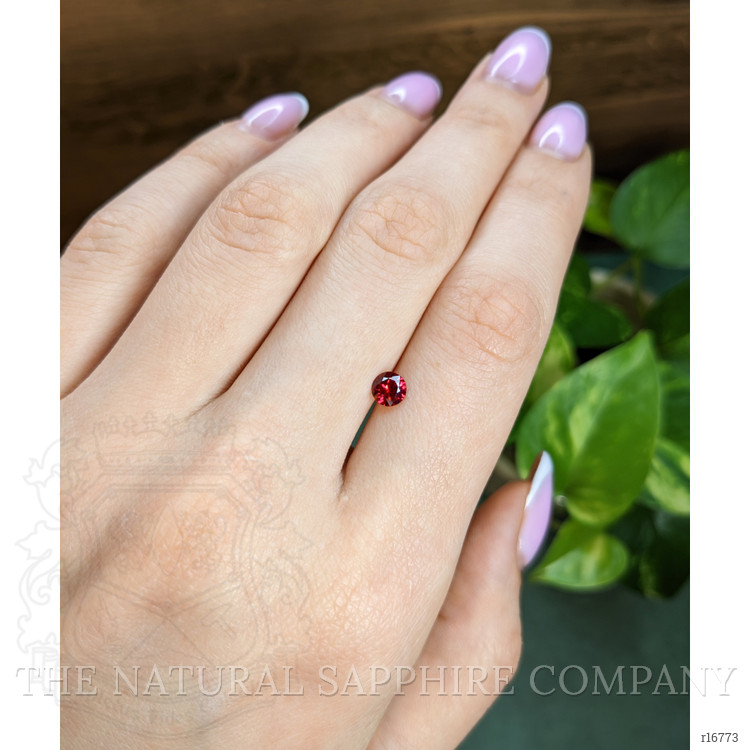 0.48 Ct. Ruby from Mozambique