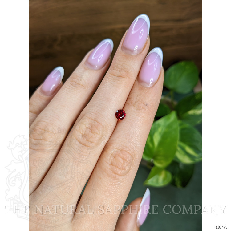0.48 Ct. Ruby from Mozambique