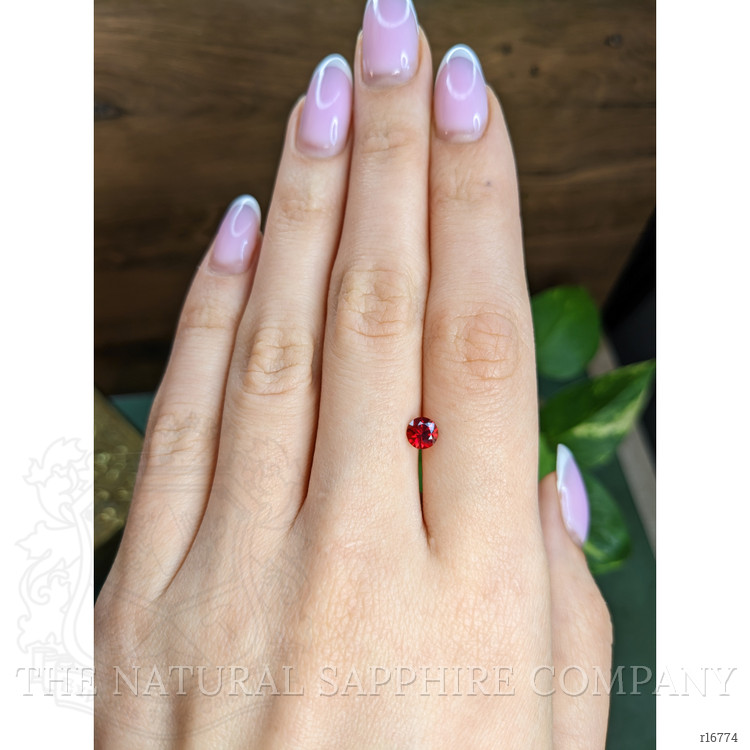 0.66 Ct. Ruby from Mozambique