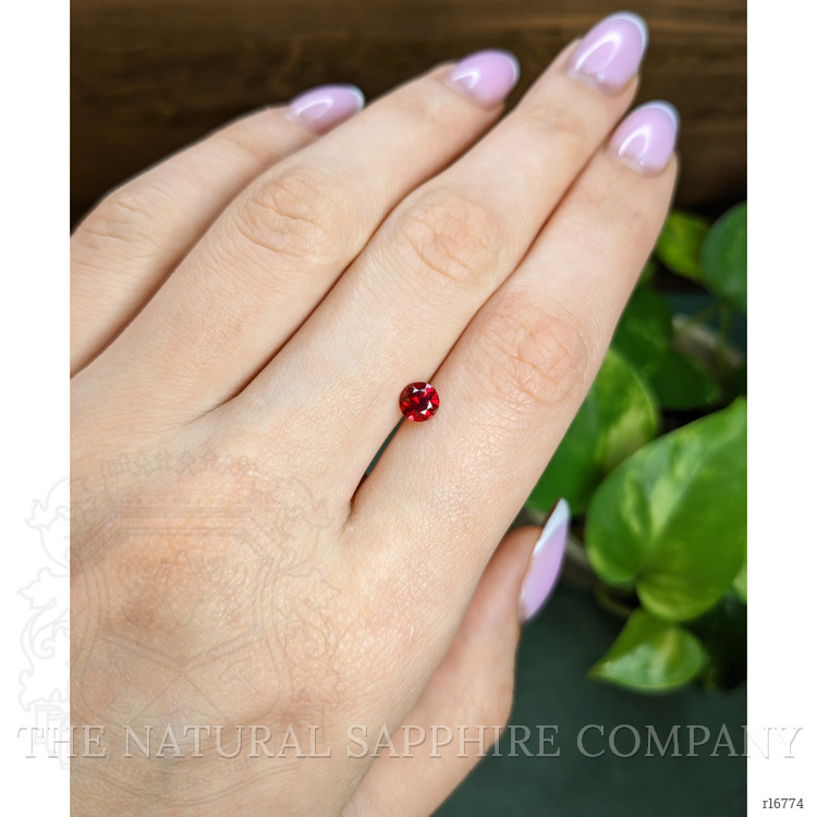 0.66 Ct. Ruby from Mozambique