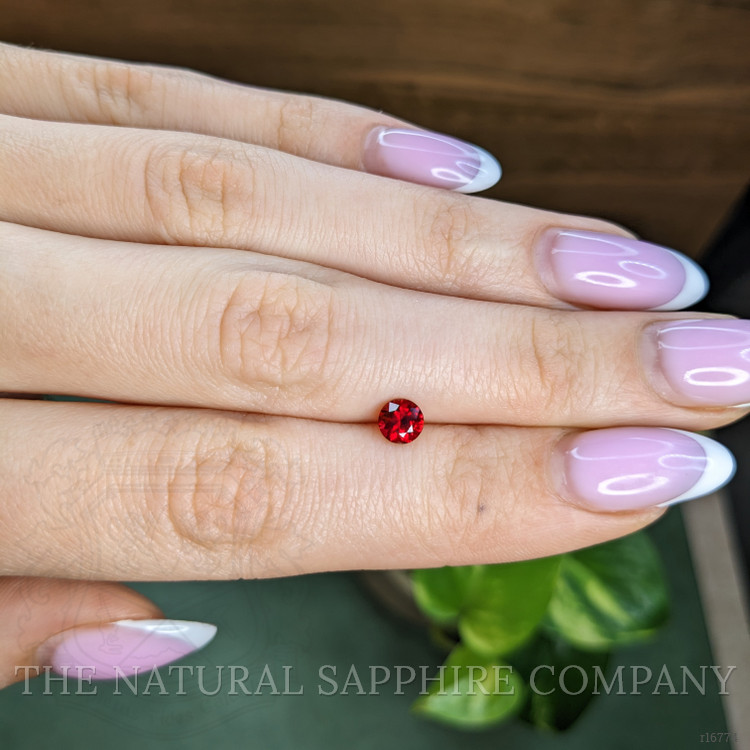 0.66 Ct. Ruby from Mozambique