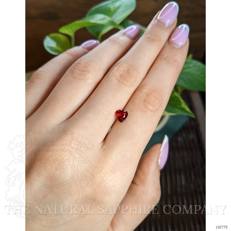 1.00 Ct. Ruby from Mozambique