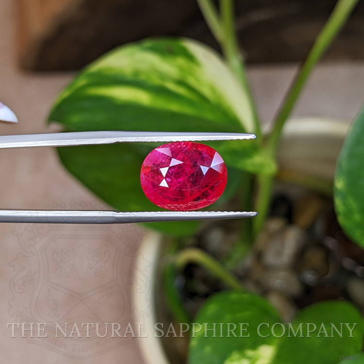 3.54 Ct. Ruby from Mozambique