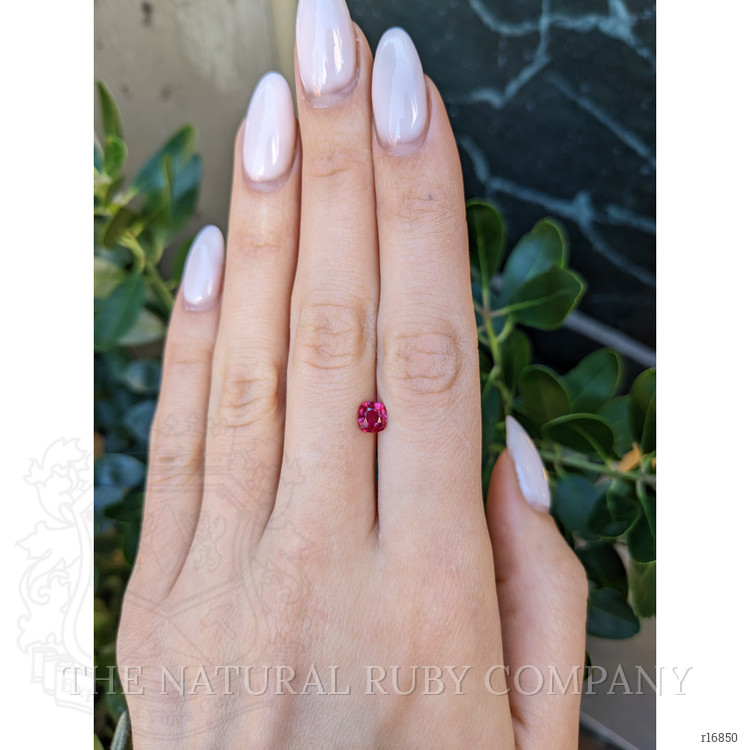 1.02 Ct. Ruby from Mozambique