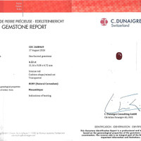 4.53 Ct. Ruby from Mozambique Pdf