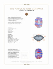 Jewelry 3 D Scan Report