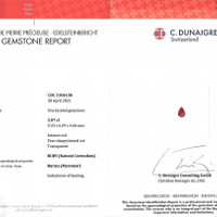 Jewelry Scan Report