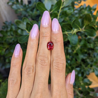 3.07 Ct. Ruby from Mozambique Life Style