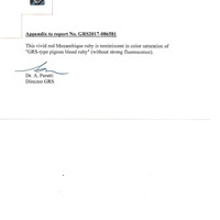Jewelry Scan Report