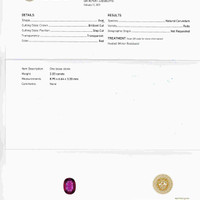 Jewelry Scan Report