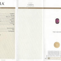 Jewelry Scan Report