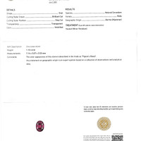 Jewelry Scan Report