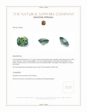 1.01 Ct. Bluish Green Sapphire from Ceylon (Sri Lanka) Appraisal