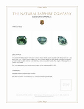 1.04 Ct. Bluish Green Sapphire from Ceylon (Sri Lanka) Appraisal