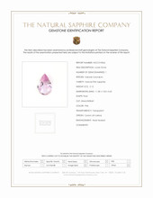 Jewelry Scan Report