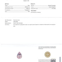 Jewelry Scan Report