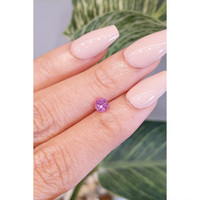0.57 Ct. Pink Sapphire from Ceylon (Sri Lanka) Life Style