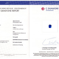 Jewelry Scan Report